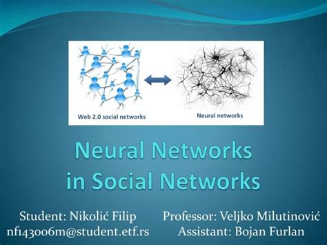 neural and social networks